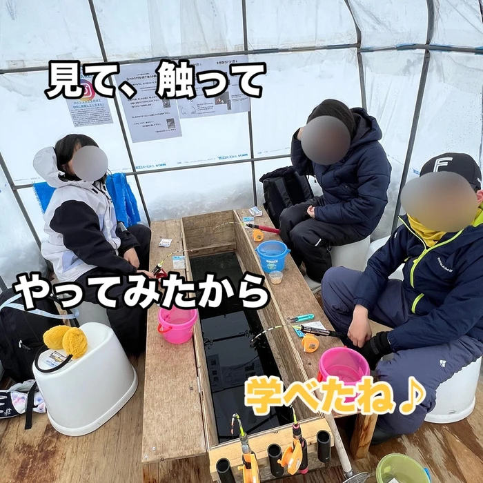 画像536